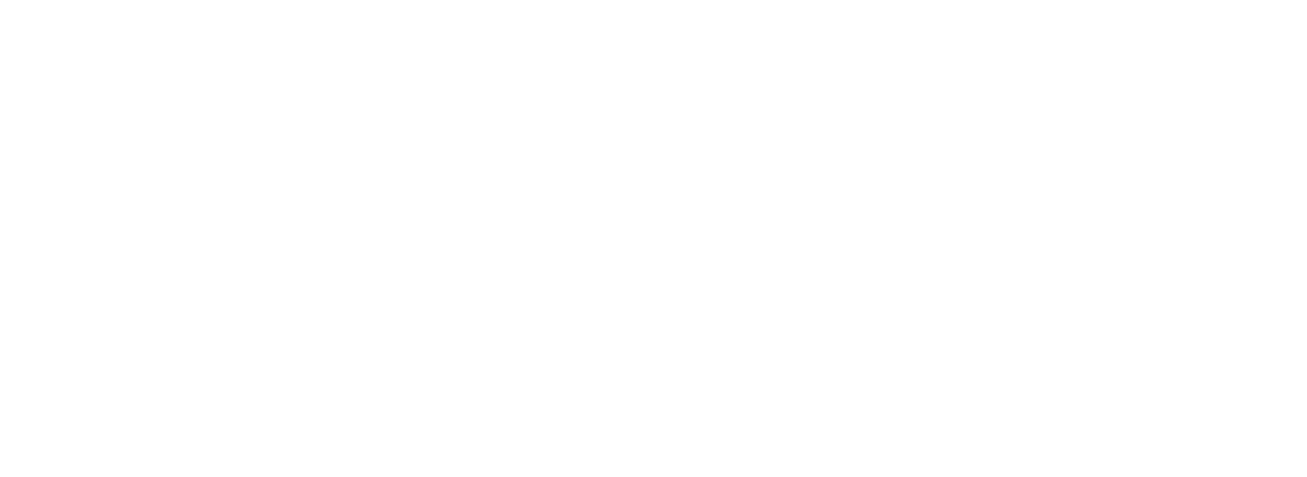 Dingoo